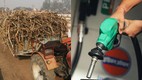 petrol ethanol blending | latest news | hindi news | modi govt