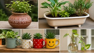 waste material garden ideas | gardening tips | kin chizon mein paudhe laga sakte hain