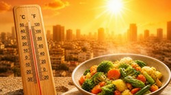 गर्मी में थोड़ा संभलकर खाएं सब्जियां, इन 6 सब्जियों को खाने से बॉडी में बढ़ सकती है हीट, एक्सपर्ट से जानिए वेजेटेबल लिस्ट और कारण