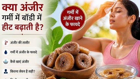 Is it safe to eat figs in summer? Benefits of soaked anjeer in summer, Anjeer for digestion in Hindi, Side effects of eating figs in summer,How to eat anjeer in summer as per doctors, Anjeer side effects on stomach in heat,Soaked figs benefits for weight loss and digestion,Best time to eat anjeer in summer,