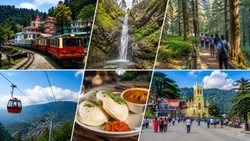 शिमला पहली बार घूमने का बना रहे हैं प्लान, तो इन 5 चीजों को जरूर करें ट्राई