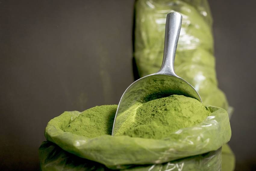9 Ways To Eat Moringa Leaves