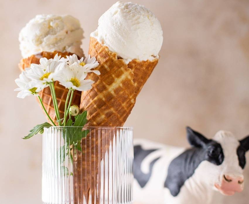 Best Indian Frozen Desserts