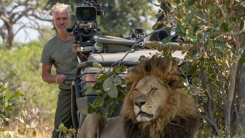 Big Cats 24 7