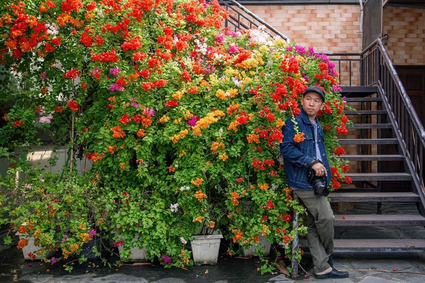 Bougainvillaea