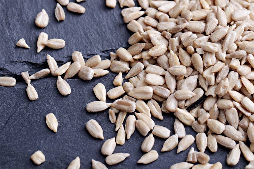 Can You Eat Sunflower Seed Shells