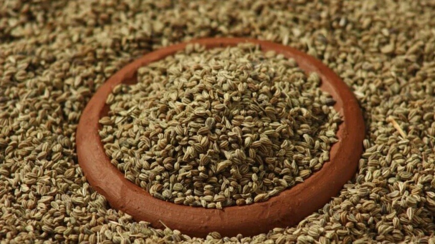 Carom Seeds