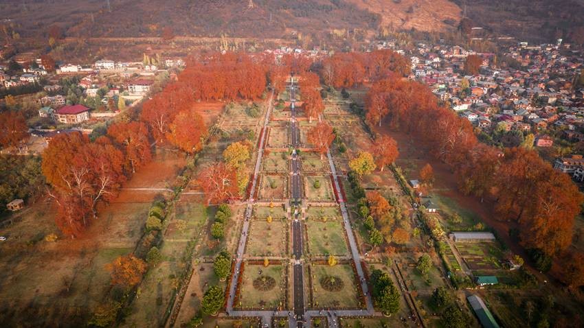 Chinar