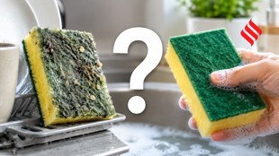 Dishwashing Sponge Cleaning