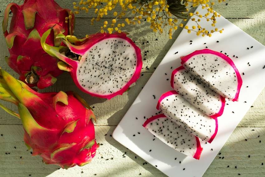 Dragon Fruit Growing Guide