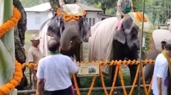 असम वन विभाग की अनोखी मिसाल: जंगल की रक्षा करने वाले हाथियों को दिया ‘गार्ड ऑफ ऑनर’, सीएम बोले- रियल हीरो!