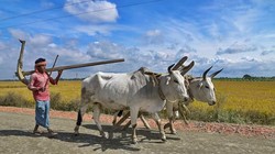 सिर्फ पर्यावरण का मुद्दा नहीं, हमारी अर्थव्यवस्था और आजीविका का सवाल है गर्मी | विचार
