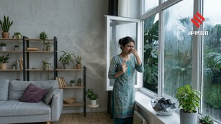 Freshen Up Your Home Naturally With These Moisture-Fighting Tips
