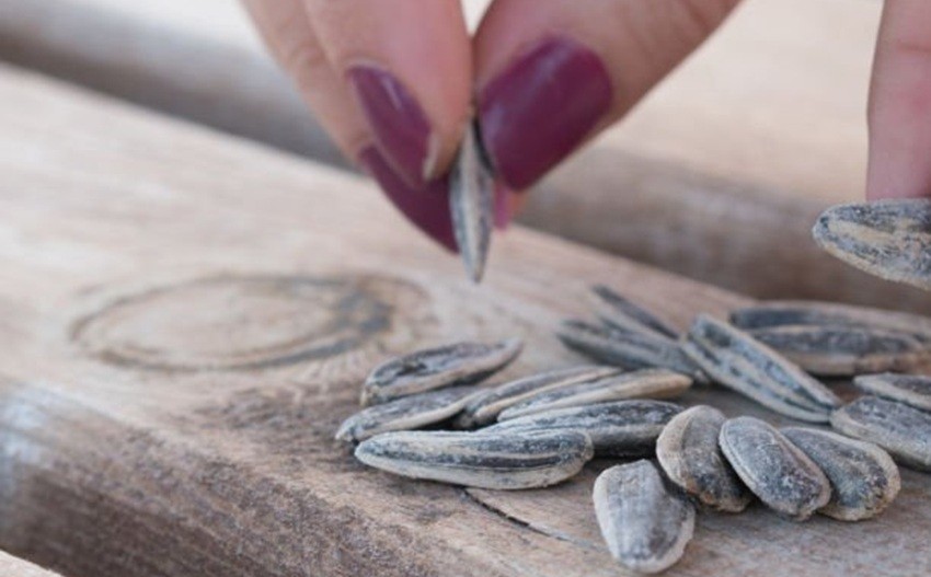 Sunflower Seeds Nutrition