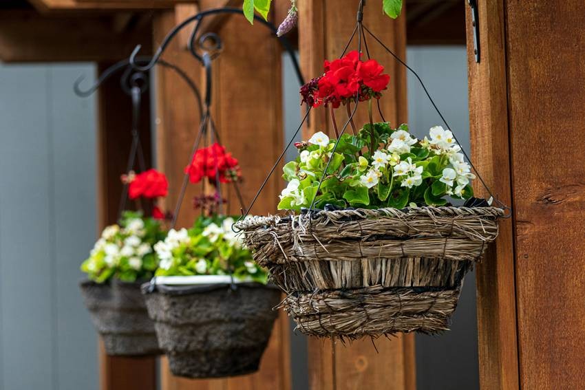 Hanging basket gardening tips