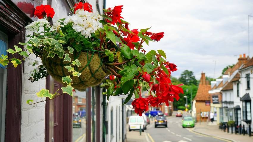 Hanging basket watering tips