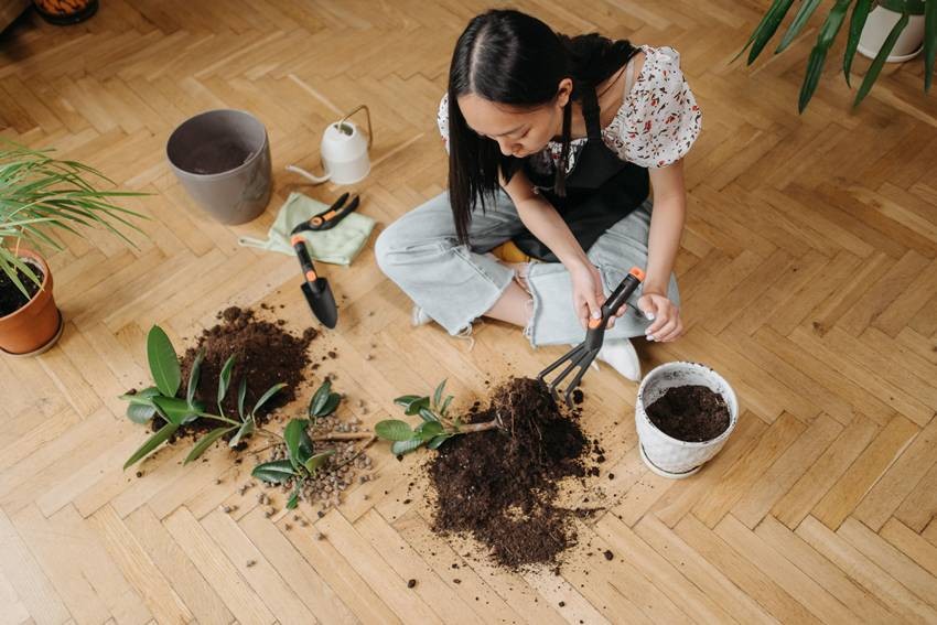 Hard soil can also be the reason