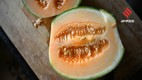 Health Secrets Hidden Inside Muskmelon Seeds