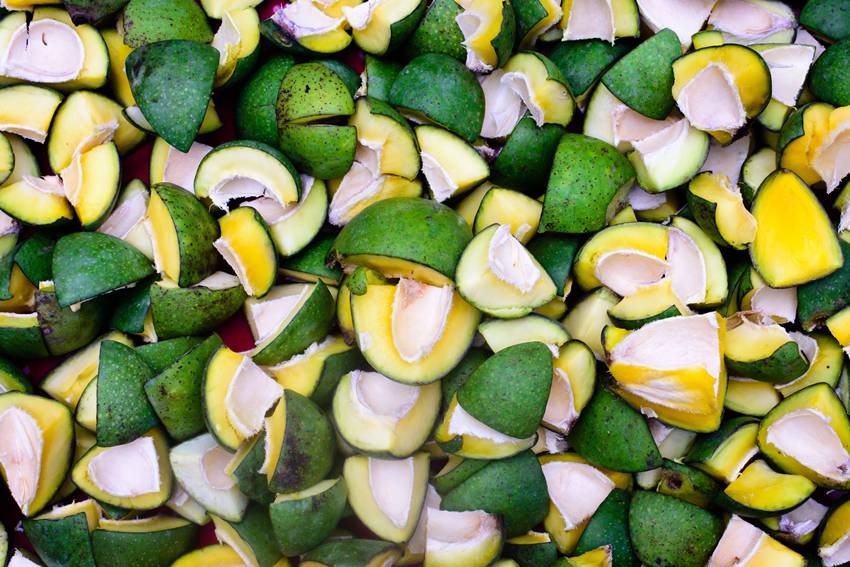 Healthy Summer Meals