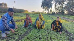 खेतों से दवा तक: औषधीय खेती किसानों के लिए खोल रही है कमाई की नई राह | विचार