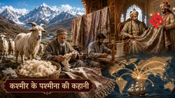 राजघरानों और नवाबों की शान रही पश्मीना की कहानी, कैसे हिमालय की ऊंचाइयों से दुनिया तक पहुंची