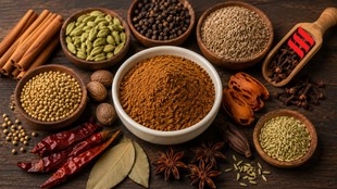 Homemade Garam Masala