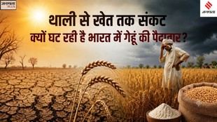 climate impact on wheat, rising temperature crops, food security India wheat, climate change agriculture India