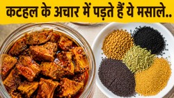 कटहल का अचार बनाते समय पड़ते हैं ये मसाले, तभी आता है लाजवाब स्वाद, जाने बनाने का तरीका