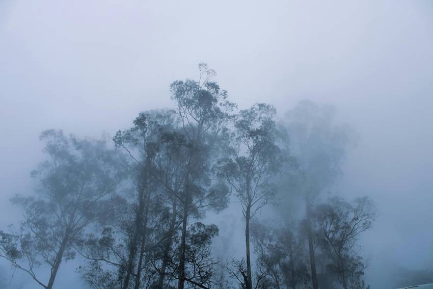 Kodaikanal, Tamil Nadu