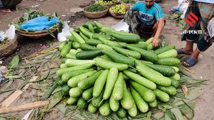 Lauki Recipes