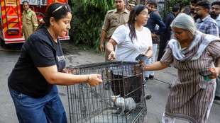 Lucknow fire, Lucknow Aliganj fire, pets rescued in fire, dogs rescued from fire, cats rescued from fire, parrot rescued from fire, animal rescue operation, pet shop fire Lucknow, veterinary clinic fire, Lucknow fire news, Aliganj fire rescue pet clinic fire, rescued animals Lucknow, fire rescue pets, Uttar Pradesh fire incident, लखनऊ आग हादसा अलीगंज आग, लखनऊ फायर न्यूज, अलीगंज अग्निकांड, लखनऊ फायर पालतू जानवरों का रेस्क्यू, लखनऊ फायर कुत्तों को बचाया गया, लखनऊ फायर बिल्लियों का रेस्क्यू, लखनऊ फायर तोते को बचाया, लखनऊ फायर पेट शॉप में आग, लखनऊ फायर बेजुबानों का रेस्क्यू