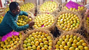 Indian Food Quality, Food Safety India, Pesticide Residue