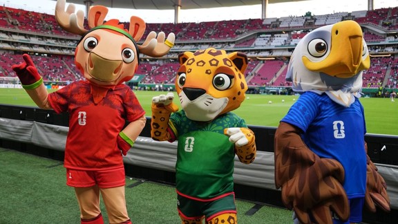 FIFA World Cup Mascot, World Cup Mascots, Drug Dealer Arrest