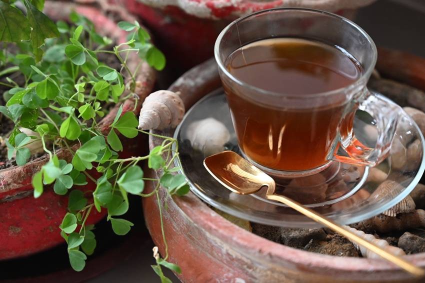 Moringa Tea