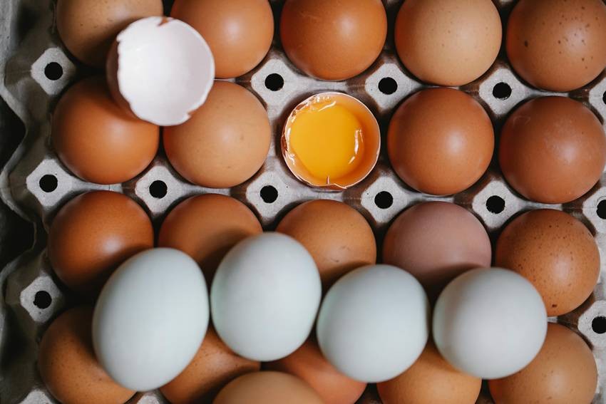National Egg Day 2026