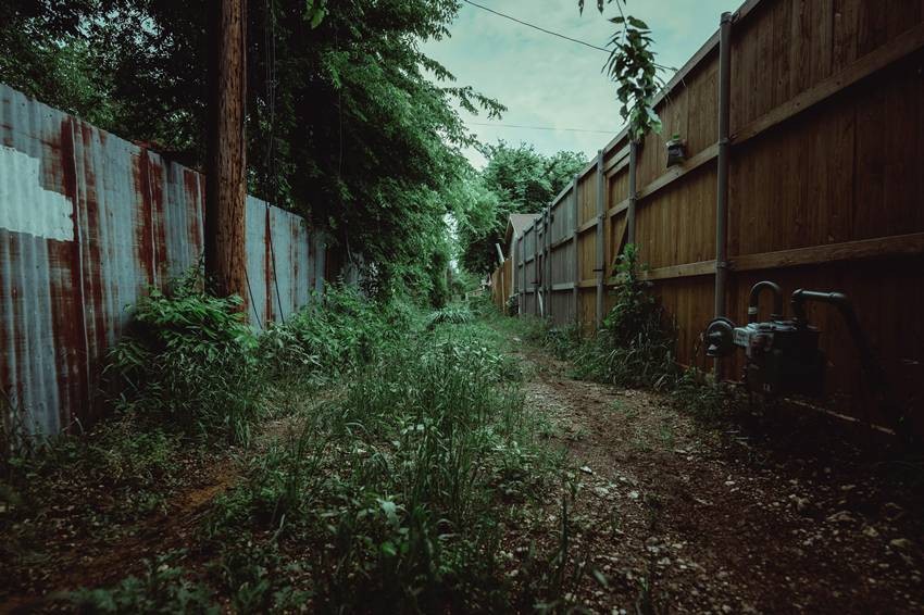 Overgrown Grass and Weeds