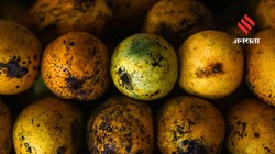 बहुत ज्यादा पक गए हैं आम, इन आसान और टेस्टी रेसिपीज में करें इस्तेमाल