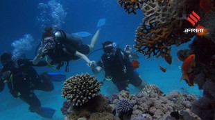 Scuba Diving Locations