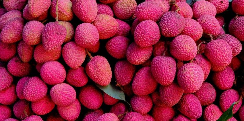 Shahi Litchi