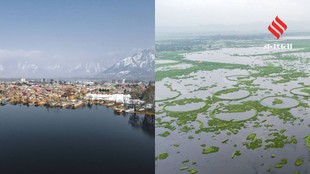 Skip Venice and Maldives Visit These Extraordinary Floating Attractions in India