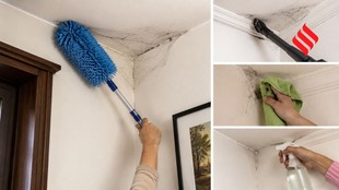 Spider Web Cleaning Tips