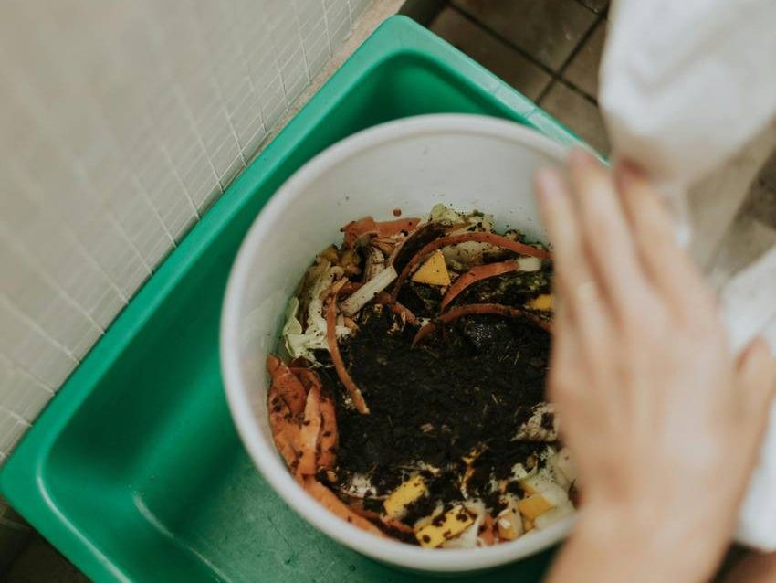 Take Out Kitchen Waste Regularly