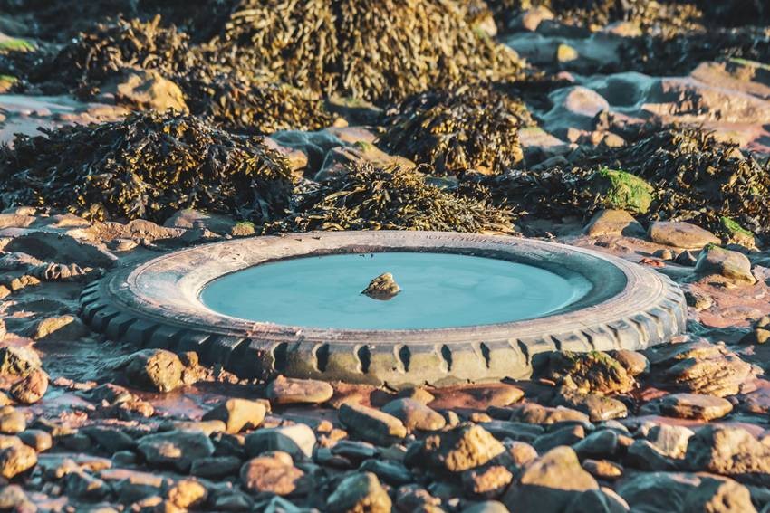 Trapped Water in Toys and Tires