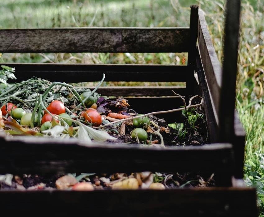 Turn the compost regularly