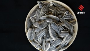 What happens if you eat sunflower seed shells