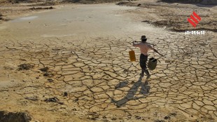 Why Combating Desertification Starts With Everyday Choices