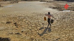 World Desertification and Drought Day 2026: इन 7 तरीकों से धरती को बंजर होने से बचा सकते हैं आम लोग