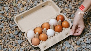 Why Eggs Are One of the Most Nutritious Foods on the Planet