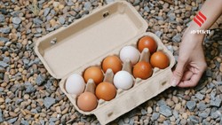 National Egg Day 2026: जानिए क्या है नेशनल एग डे और क्यों मनाया जाता है यह खास दिन