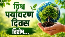 World Environment Day Special: धरती को हरा-भरा रखने के लिए करें ये 5 काम, जानिए क्यों मनाया जाता है पर्यावरण दिवस